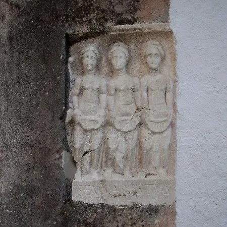 Dalmatian House Maison d'hôtes