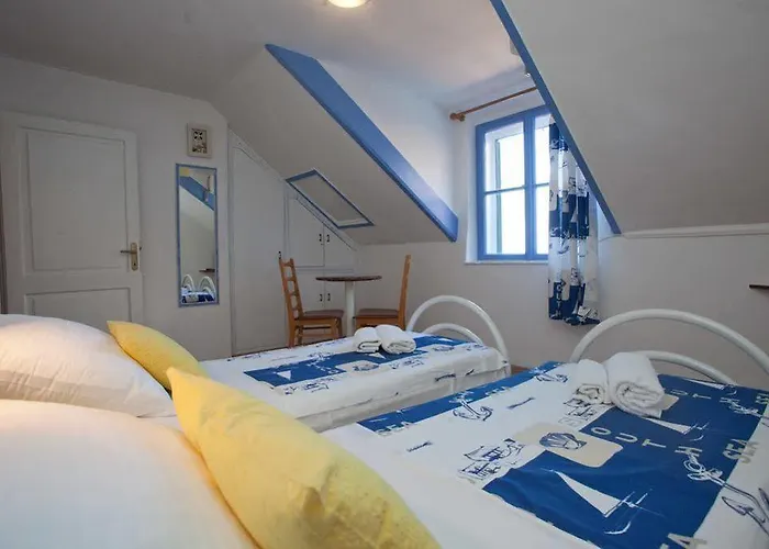 Dalmatian House Split